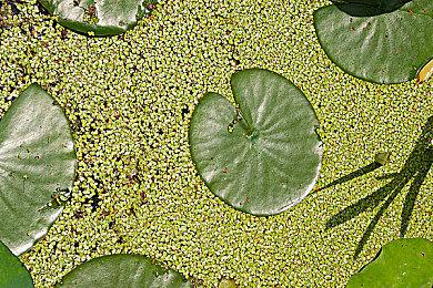 《寂静岭3》游乐园入口场景UE5自制效果视频欣赏