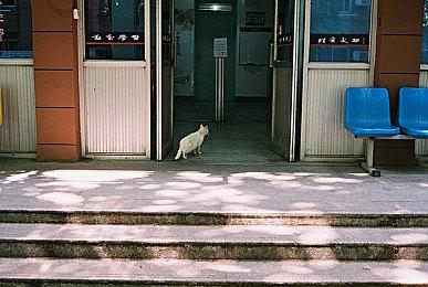 《三角战术》1.0.2版升级档发布 对游戏体验进行优化